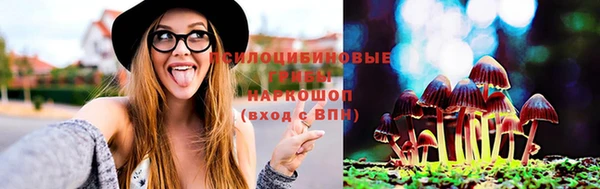 круглые Алзамай