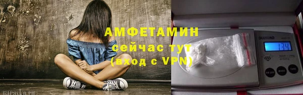 прущие грибы Коряжма