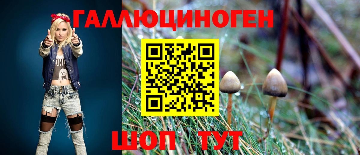 Галлюциногенные грибы прущие грибы  Вход с VPN  Апатиты  Псилоцибиновые грибы GOLDEN TEACHER 