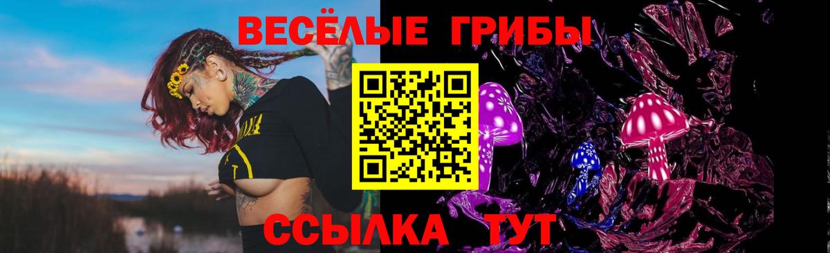 Галлюциногенные грибы MAGIC MUSHROOMS Апатиты